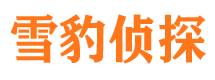 潜山侦探公司